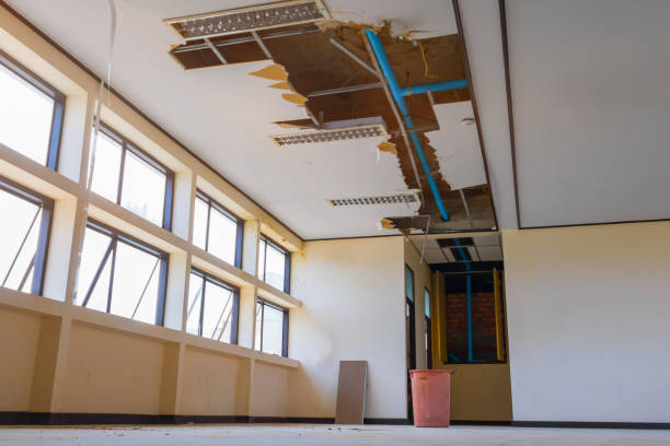 Best Water damage cleanup near me  in Bourg, LA