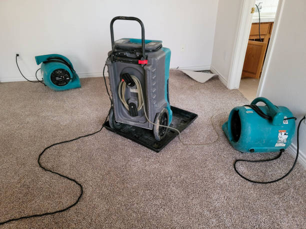 Best Emergency water damage restoration  in Bourg, LA
