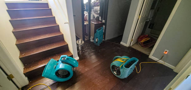Best Fire Damage Restoration  in Bourg, LA