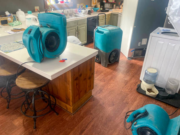 Best Professional water damage repair  in Bourg, LA