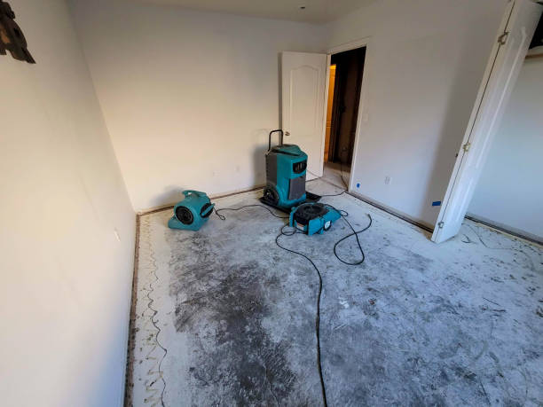 Best 24-hour water damage restoration  in Bourg, LA