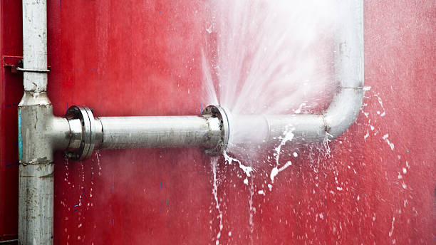 Best Commercial water damage restoration  in Bourg, LA