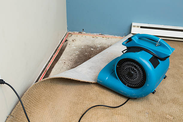 Best Flood damage cleanup  in Bourg, LA